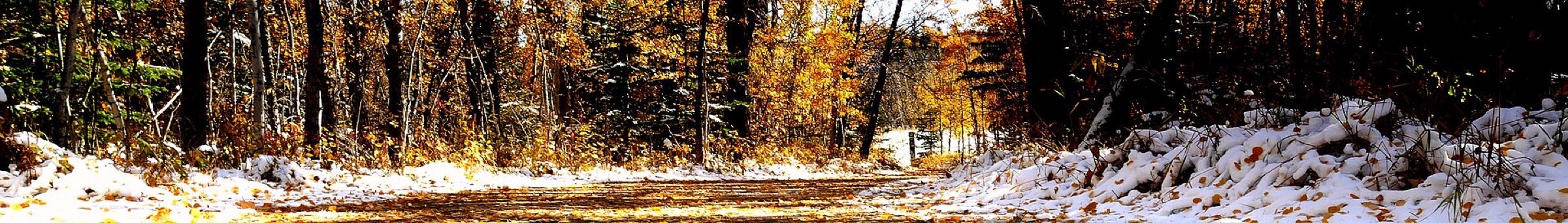 Snow on autumn colour