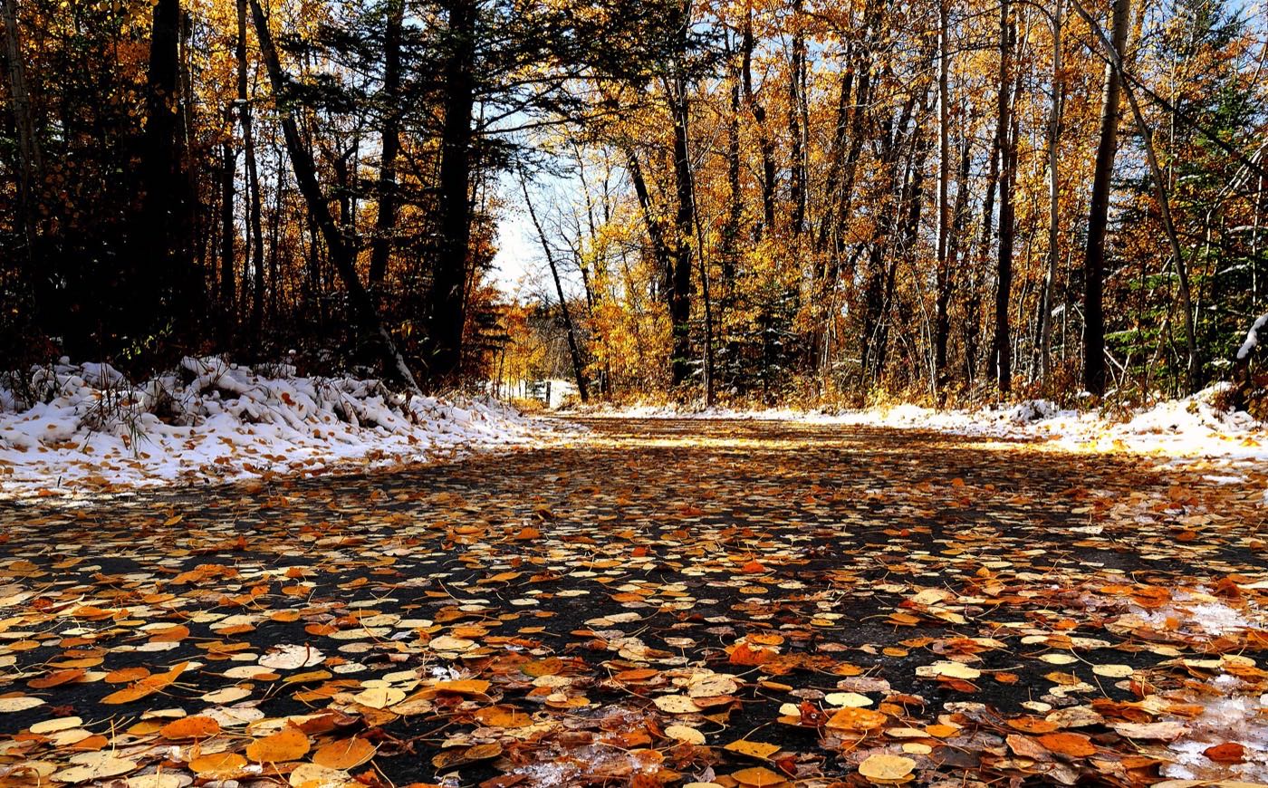 The valley in October